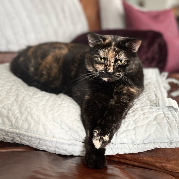 Everything listed after this post is sold! - Picture 4 of 11